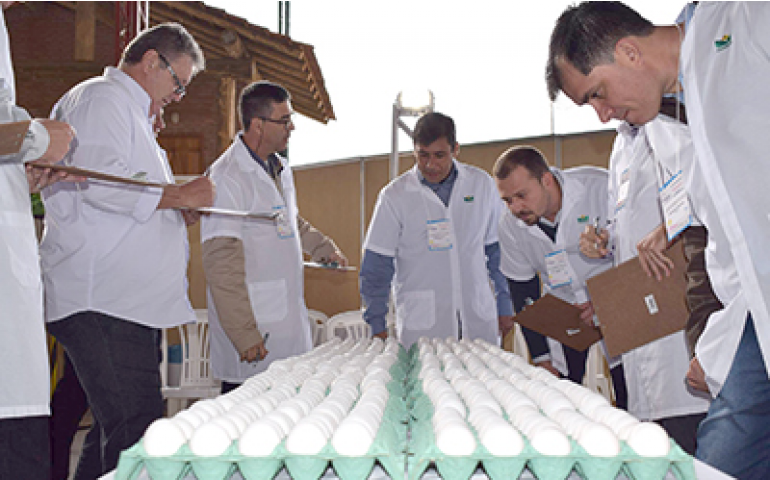 Vencedores dos Concursos de Qualidade de Ovos são premiados na 4ª Favesu