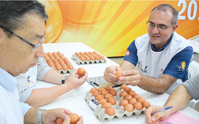 Concurso de Qualidade de Bastos divulga os campeões de 2017