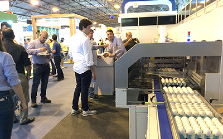 Festa do Ovo 2017 cresce 30% em número de expositores na feira avícola