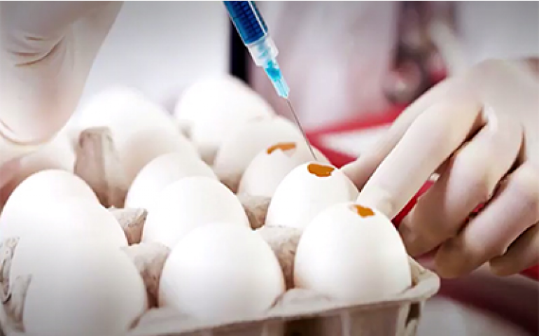 O ovo está na Globo, no vídeo Agro, a indústria riqueza do Brasil