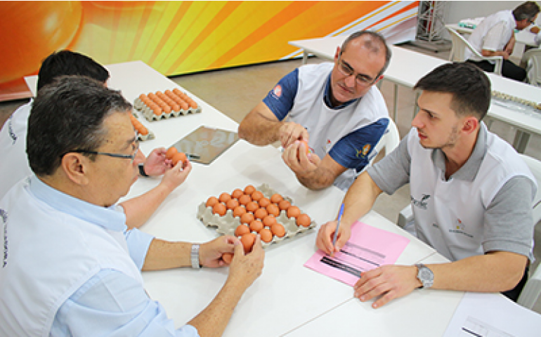 Concurso de Qualidade de Ovos de Bastos anuncia comissão organizadora