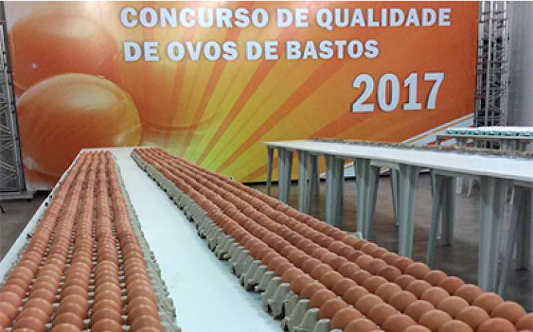 Bastos divulga o Regulamento do Concurso de Qualidade de Ovos 2018