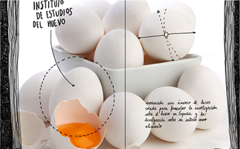 Instituto de Estudos do Ovo premia com 10.000 euros trabalhos sobre ovos