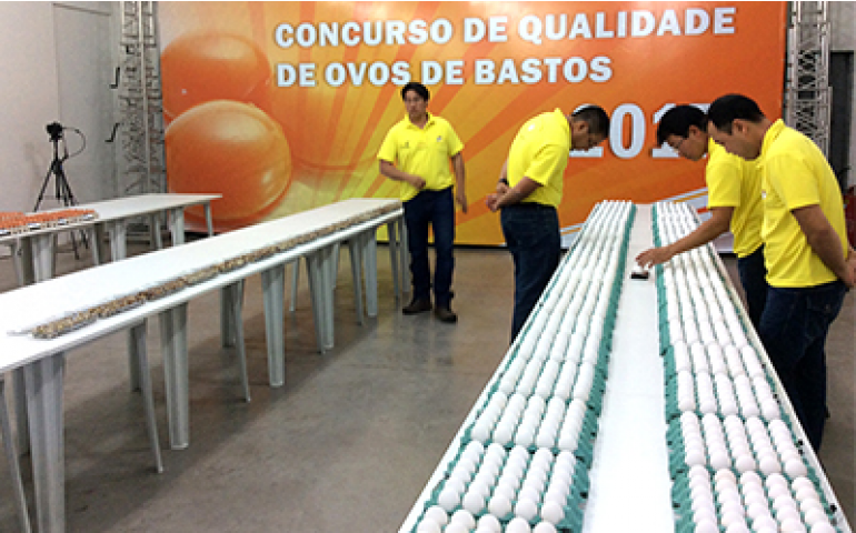 É hoje o Concurso de Qualidade de Ovos de Bastos 2018