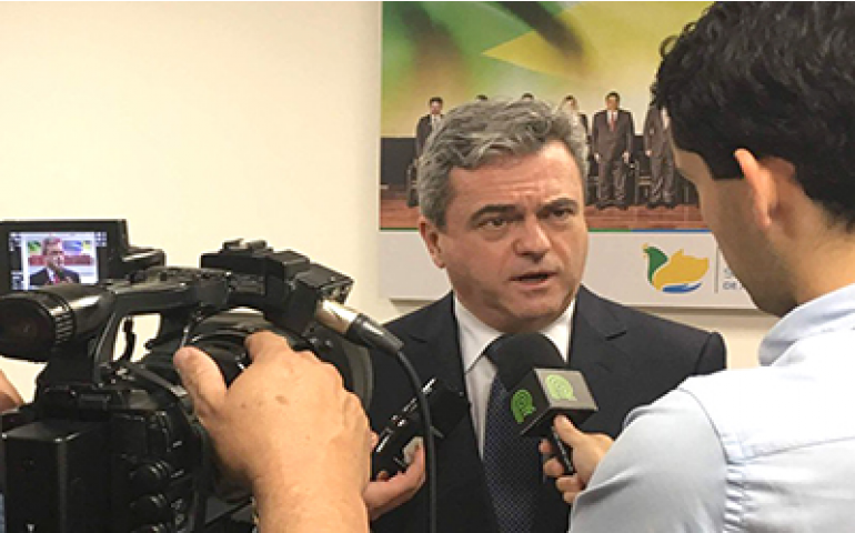 Consumo pode chegar a 212 ovos per capita no país, estima ABPA em relatório