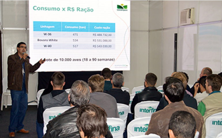 Qualificaves apresenta comparativo de linhagens na avicultura de postura