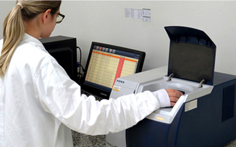 Yes lança ferramenta que monitora micotoxinas em grãos para nutrição animal